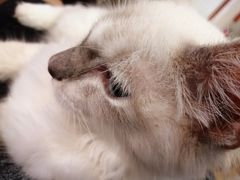 -万小咖.猫咖(中山路天虹店)