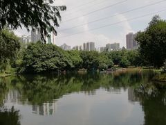 -晓港公园