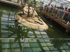 -石家庄市动物园