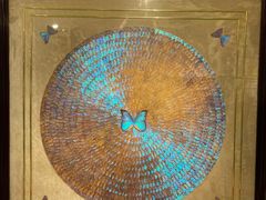 -上海昆虫博物馆