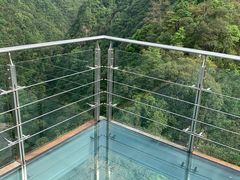 -龙湾潭国家森林公园