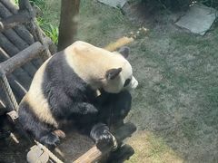 -大连森林动物园