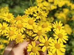 -宁波浙东大竹海景区