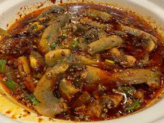 情妹耙泥鳅-情妹耙泥鳅·江湖川菜(科华店)