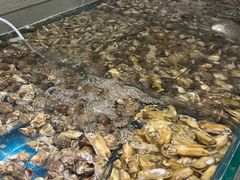 -威海蓝海御华大饭店·蓝钻美食自助百汇