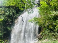 -大围山国家森林公园