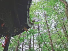 -四明山国家森林公园