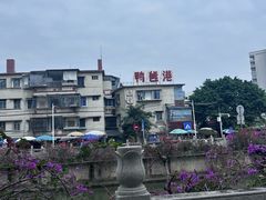 -巫记鸡饭店