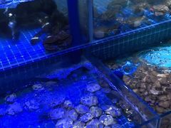 -必点蒸汽海鲜(止锚湾店)