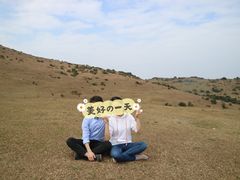 -大姆山草场
