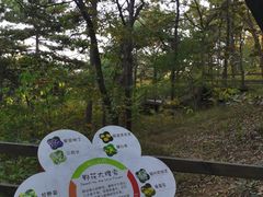 -北京西山国家森林公园