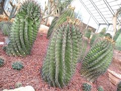 -南通洲际绿博园