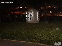 -三亚亚龙湾金棕榈度假酒店