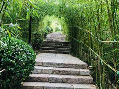 -竹子庵公园