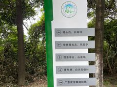 -火炉山森林公园