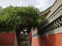-纯阳宫(大同古城)