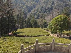 -姑婆山旅游区