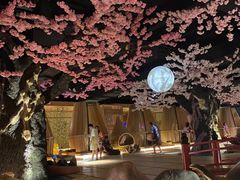 -蓝鲸湾汤泉(包河店)