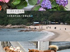 -南丫岛