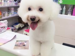 -Refn油画丨零基础定制油画