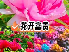 -仁和公园(顺义区)