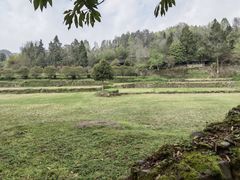 -唐崖土司城遗址