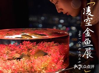 这次和朋友的上海之旅加入了凌空金鱼艺术展纯属惊喜的意