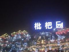 -枇杷园食为鲜火锅(南山店)