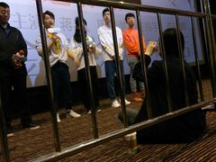 -金逸影城(影视中心IMAX店)