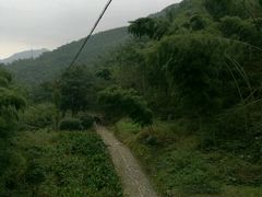 -仙霞关景区