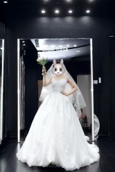 -Bridal Queen·婚纱女皇