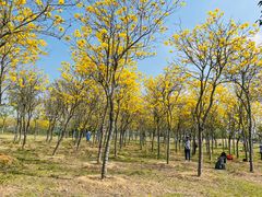 -合浦汉代文化博物馆