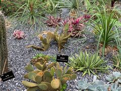 -中国科学院西双版纳热带植物园