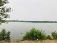 -绿堤公园