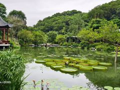 -云溪植物园