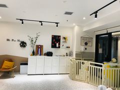 -米宠家·撸猫猫咖小萌宠·猫咪洗澡·猫咪寄养(高新大都荟店)