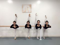 -西安小天鹅艺术团(金花路校区)