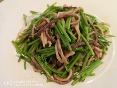 芫爆肚丝-106餐厅(山水文园店)