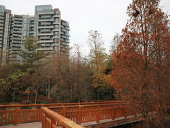 -广东花都湖国家湿地公园