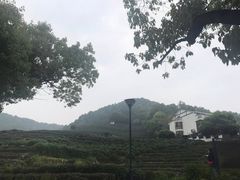 -西湖游船