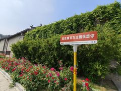 -康百万庄园