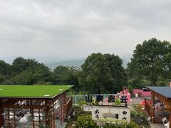 -南山植物园