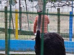 -武汉紫薇都市田园