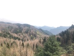 -山王坪喀斯特国家生态公园