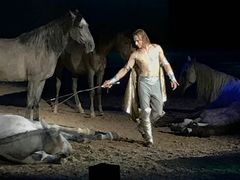 -环球城国际大马戏