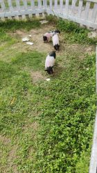 -前小桔亲子创意农场·草莓采摘·露营烧烤