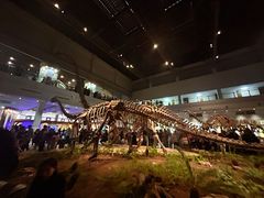 -自贡恐龙博物馆