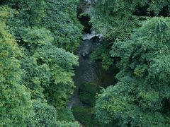-碧峰峡风景区
