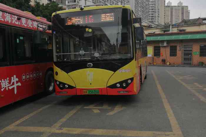 凤凰岗公交总站-"#2019工作日#这半个月来,经常过来凤.