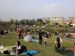 -两河城市森林公园